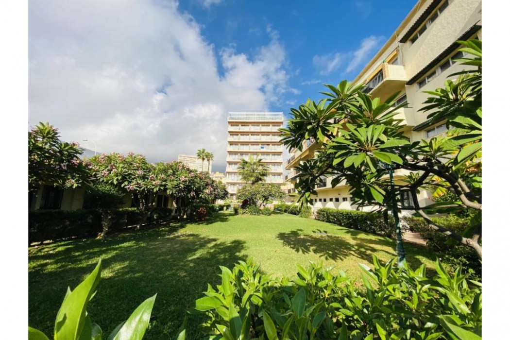 Apartments Los Jazmines 写真3