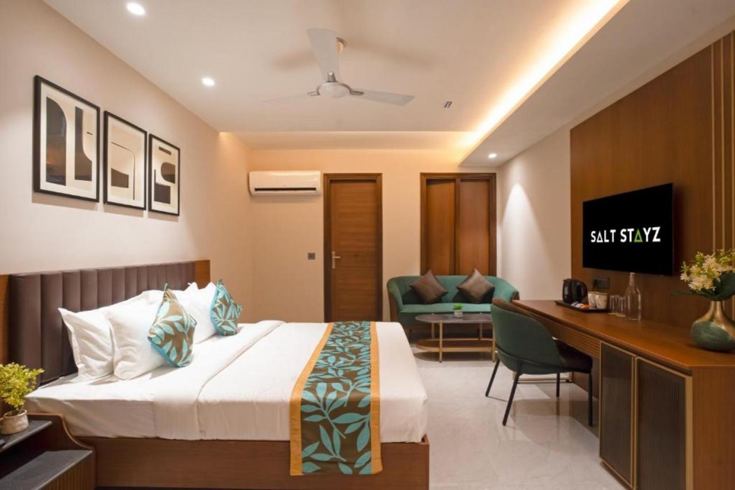 Saltstayz Premier Naraina Vihar 18/60