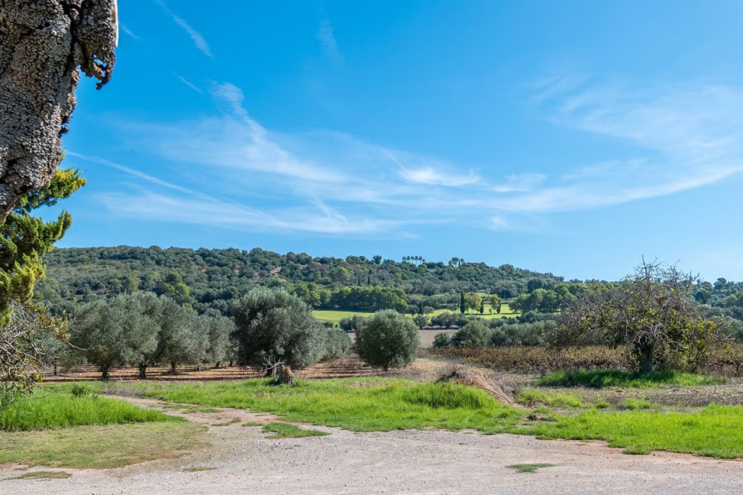Agroturismo es Mayolet 4/84