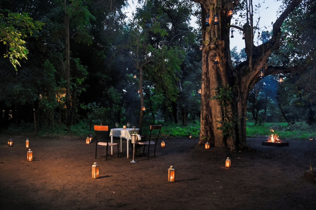 Brij Sone Bagh, Bandhavgarh, A Luxury Jungle Retreat 29/61