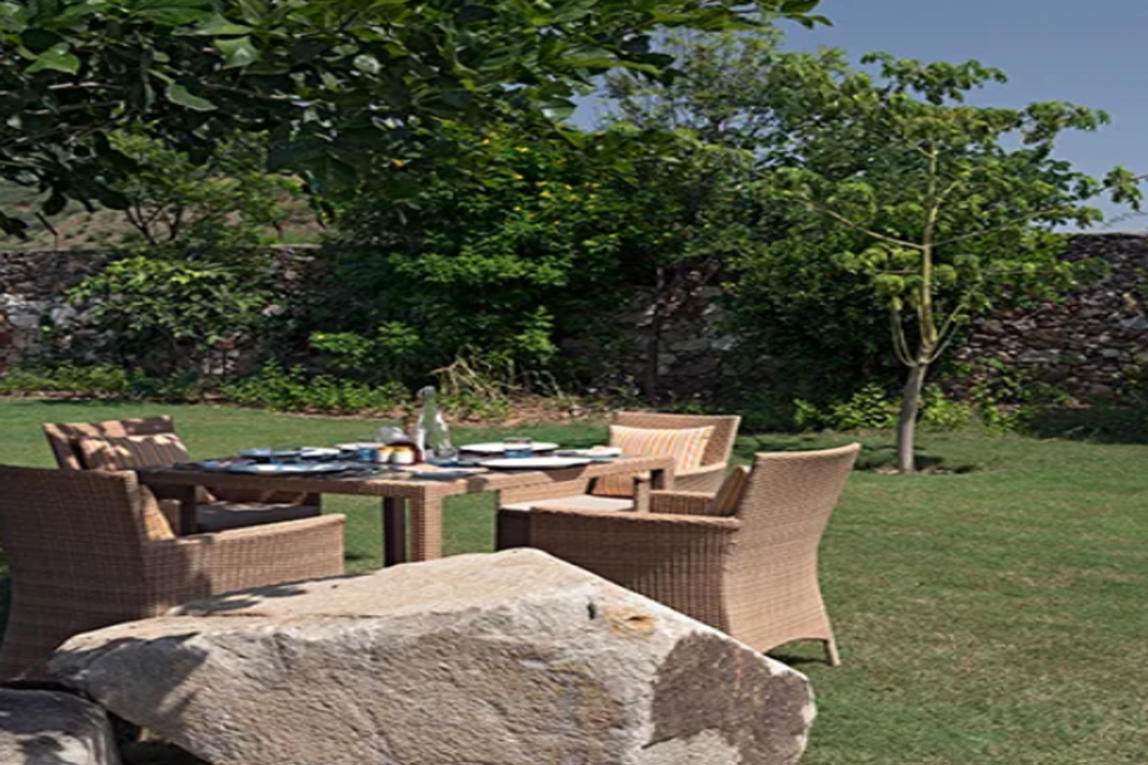 Tree of Life Sariska Manor 23/58