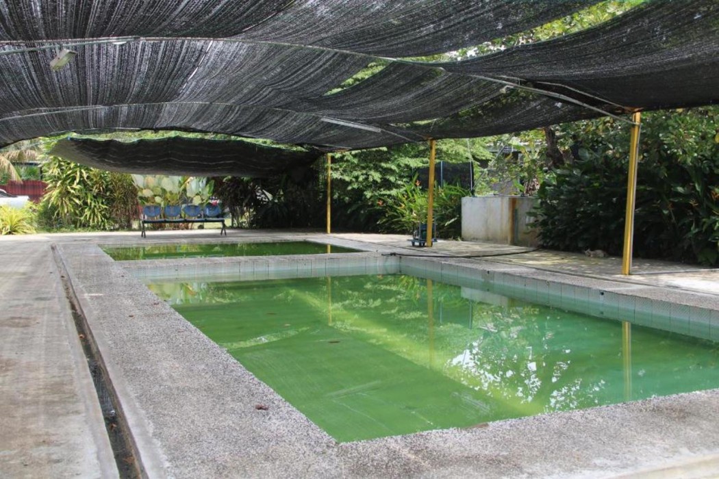 Capital O 91186 Rumah Rehat Bukit Inas 8/8