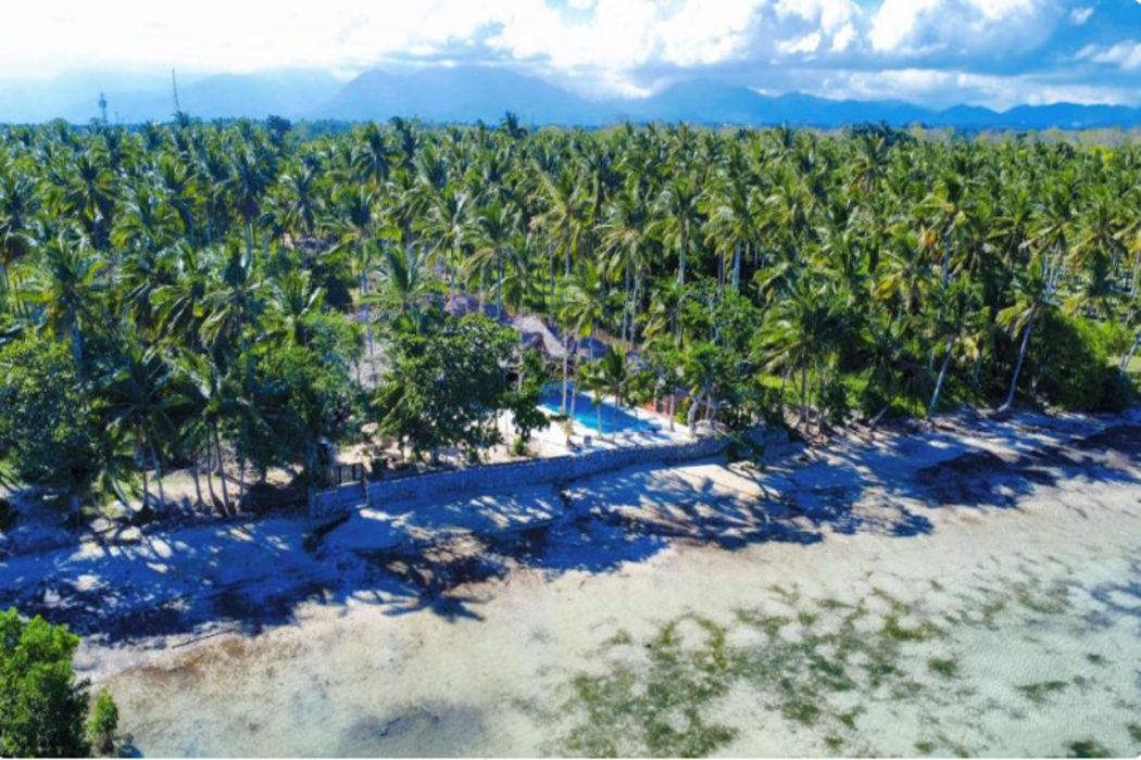 The Dome Hotel Puerto Princesa City 10/11