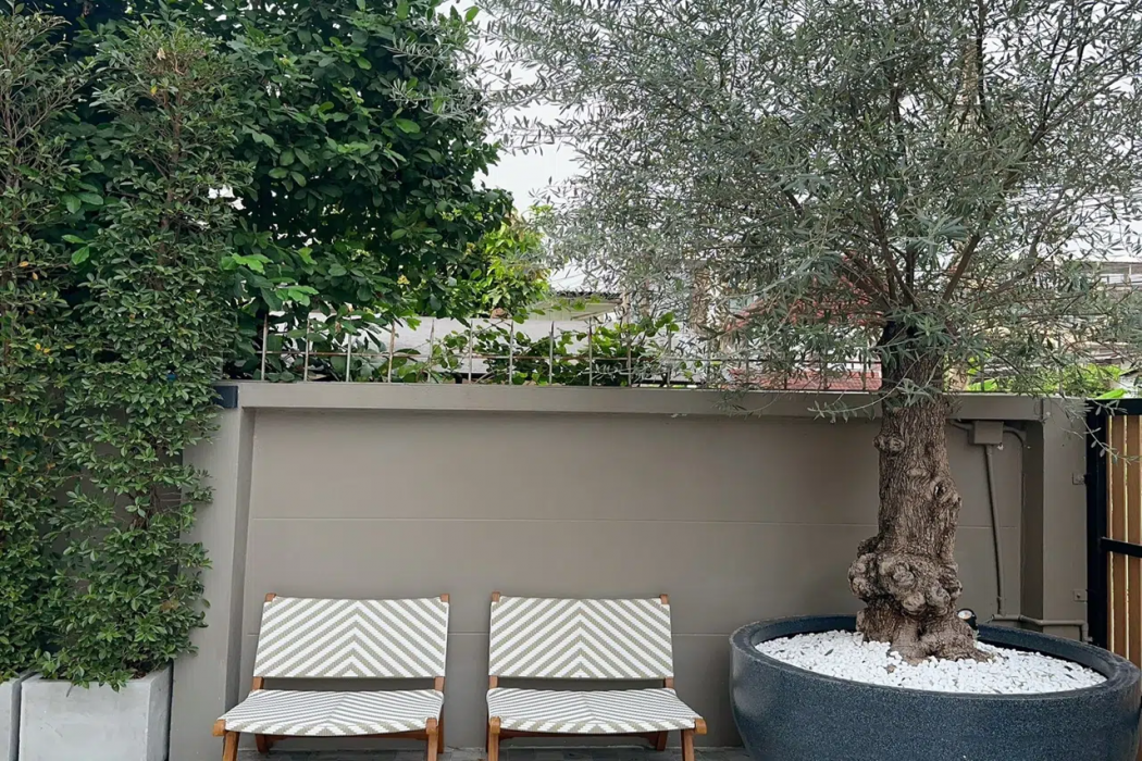 Wynora Hotel 38/46