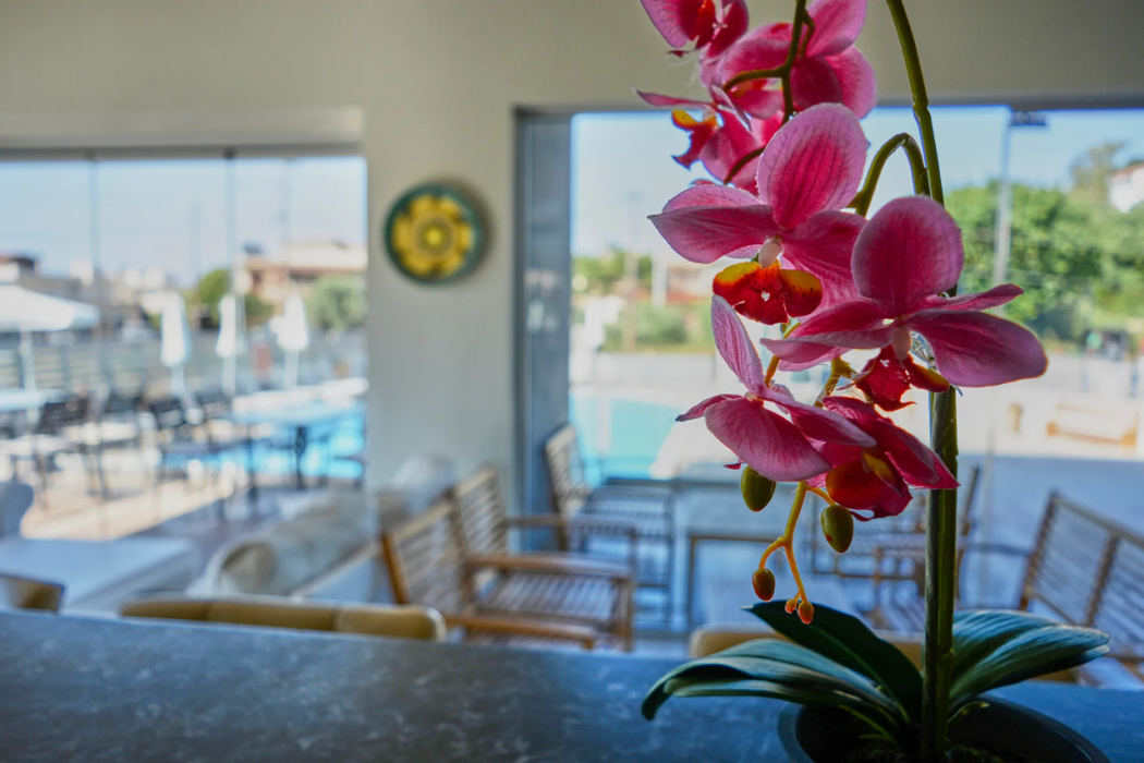 Ivory Serenity Hotel 42/70