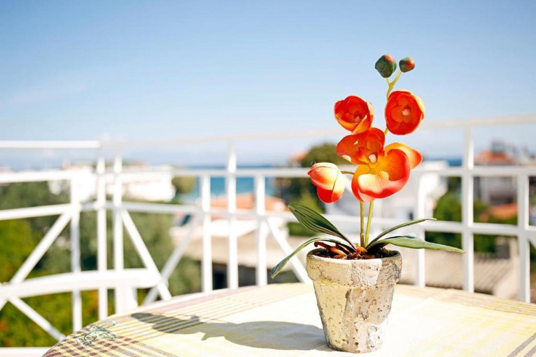 Agistri Apartments by Oasis Beach Hotel 15/29
