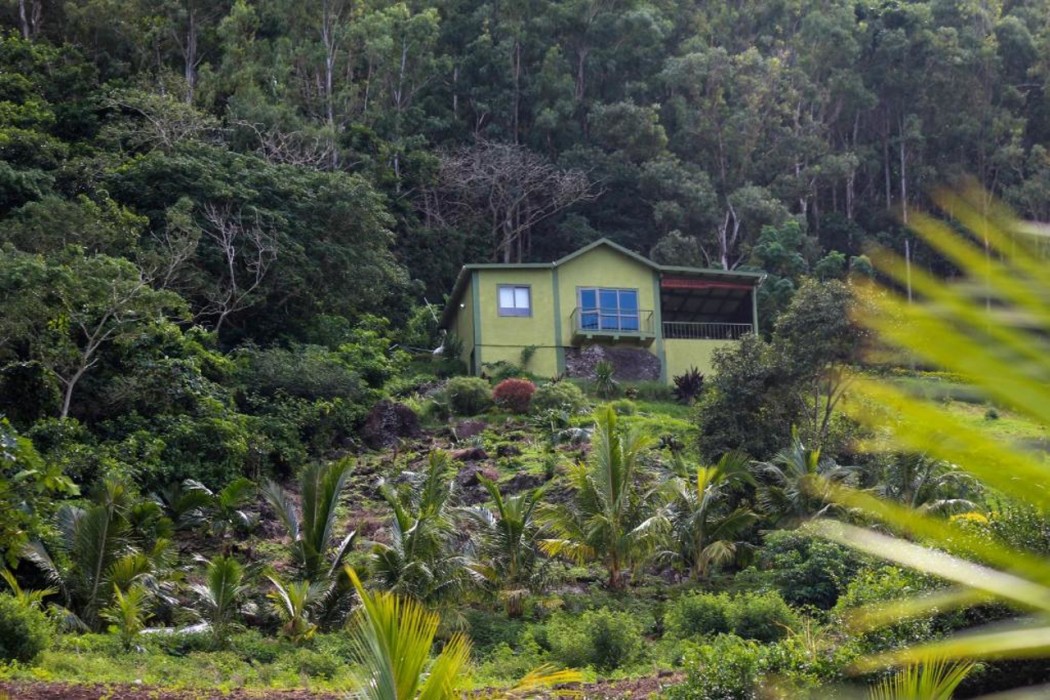 The Green Shack ltd 写真1