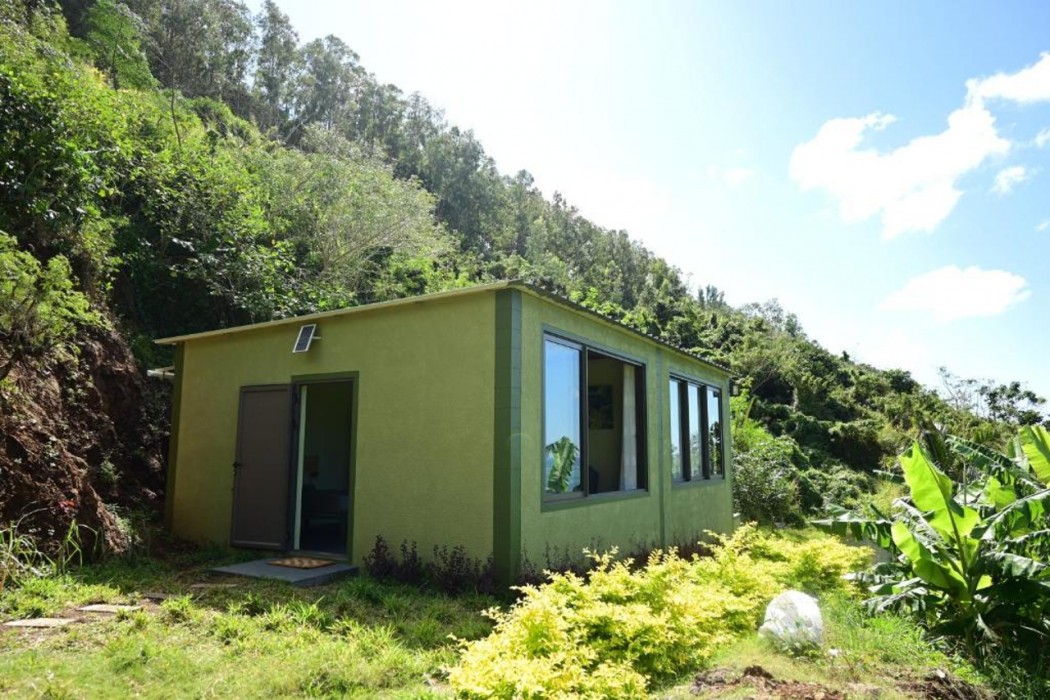 The Green Shack ltd 写真3