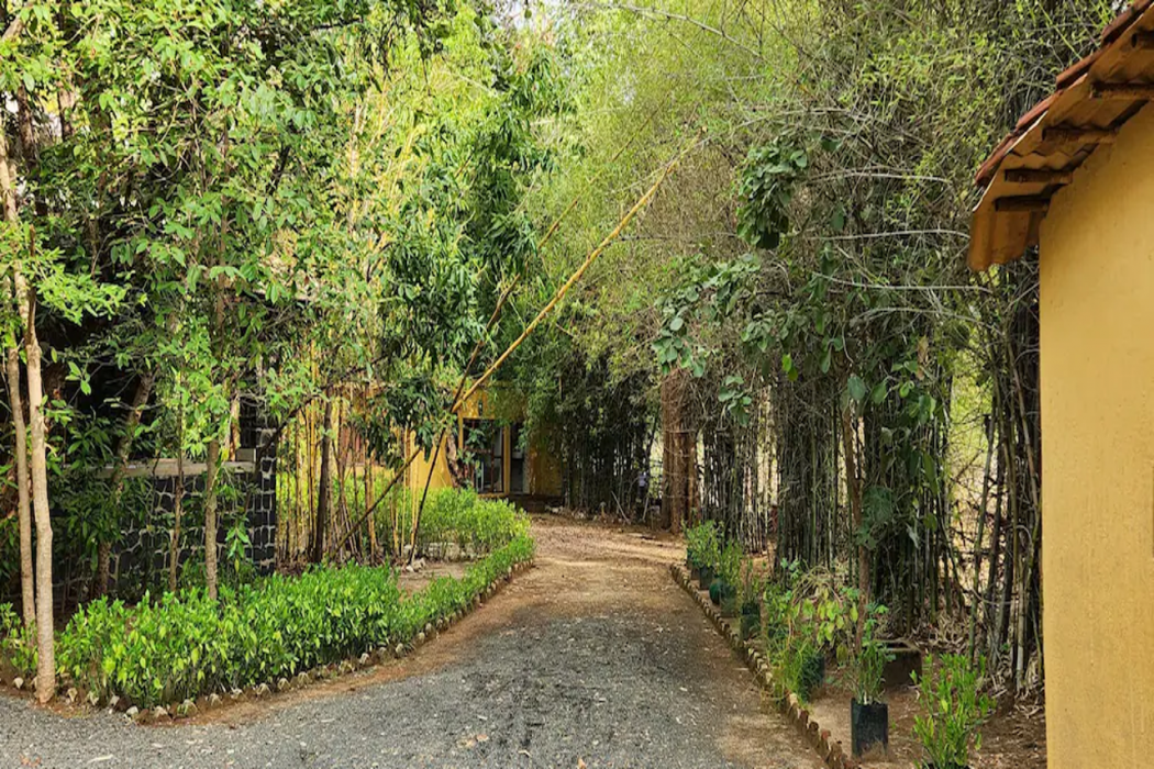 Club Mahindra Bandhavgarh in UMARIA