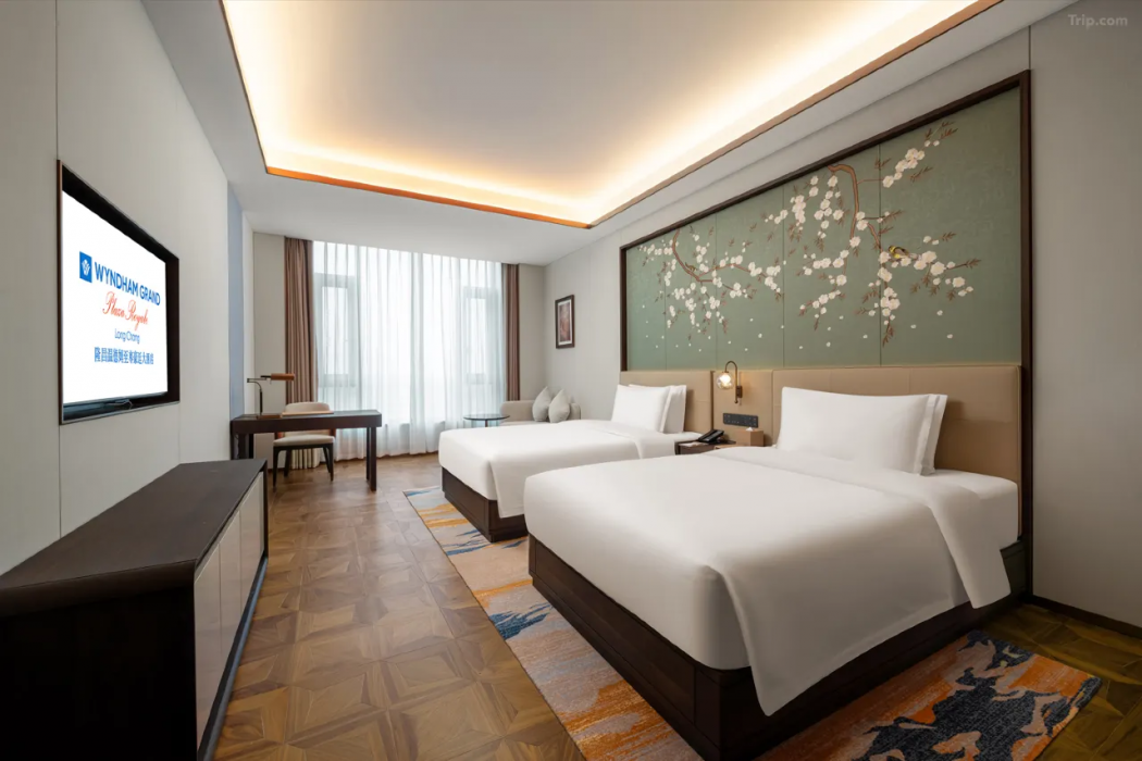 Wyndham Grand Plaza Royale Longchang 8/32