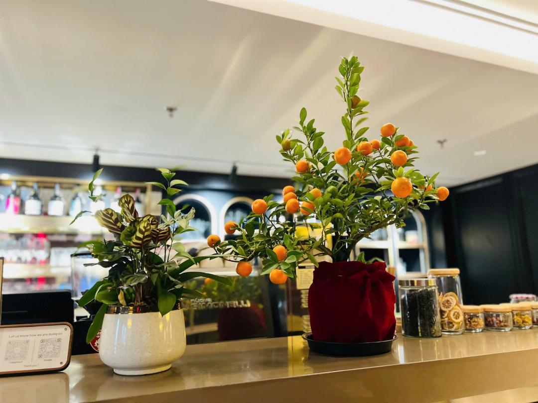 Tonkin Luxury Boutique Hotel & Spa 9/90
