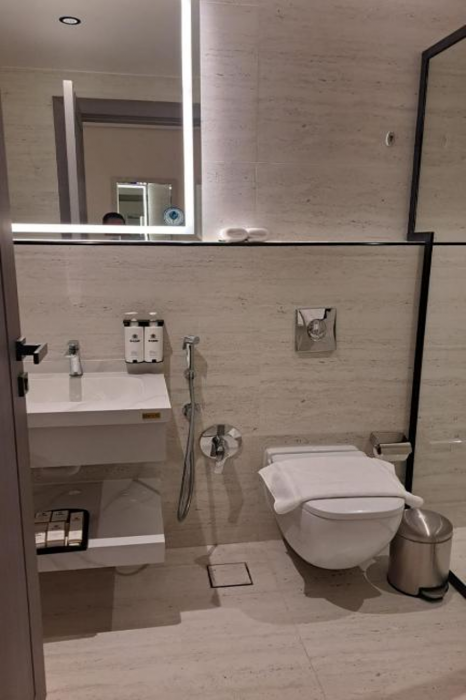 فندق تريبل إيه(Triple A Hotel) 30/49