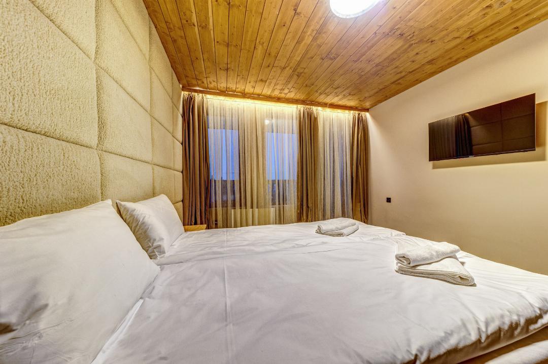 Deluxe One Bedroom Apartment