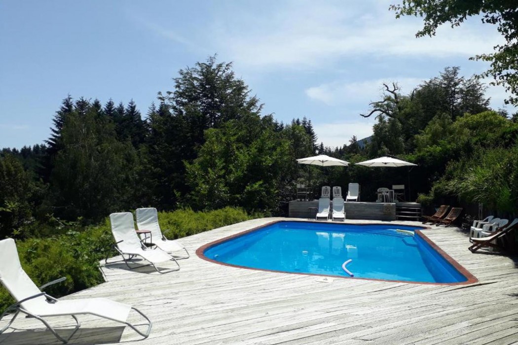 El Bosque by DOT Tradition 35/64