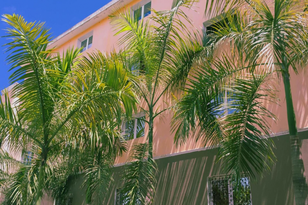 Hotel Marimba Punta Cana 1/15