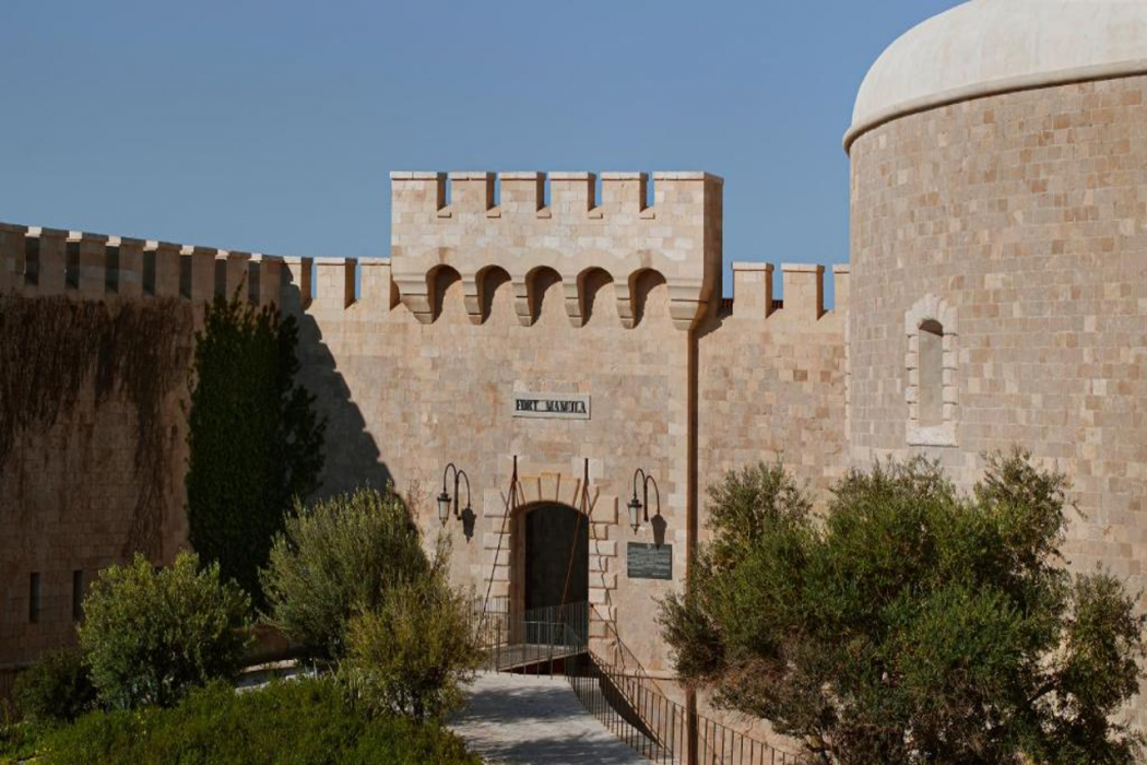 Mamula Island By Banyan Tree in Mamula Island