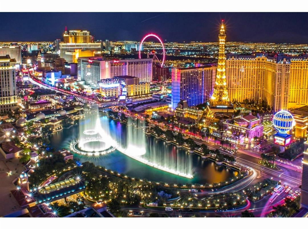 Collection O Las Vegas 24/25