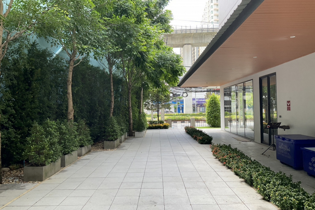 35 Bow Hotel 写真3
