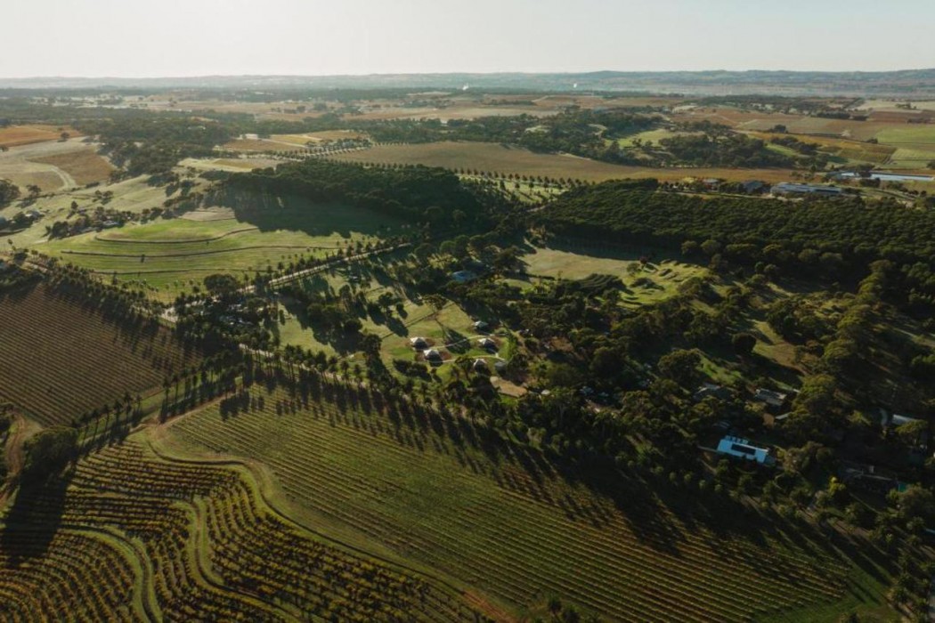 CABN CANVS Seppeltsfield, Barossa Valley 9/10