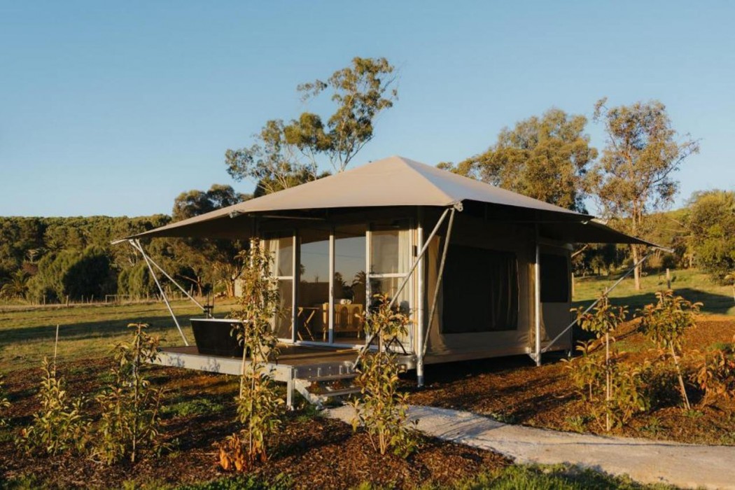 CABN CANVS Seppeltsfield, Barossa Valley in SEPPELTSFIELD