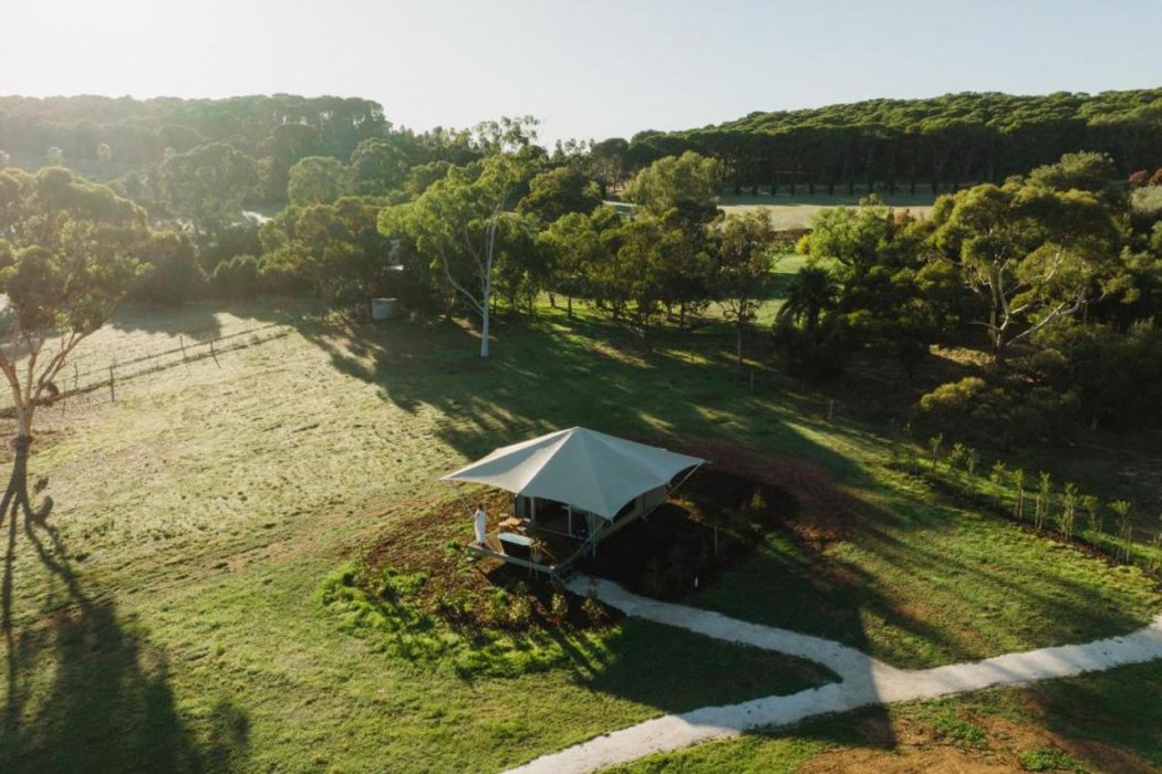 CABN CANVS Seppeltsfield, Barossa Valley in SEPPELTSFIELD
