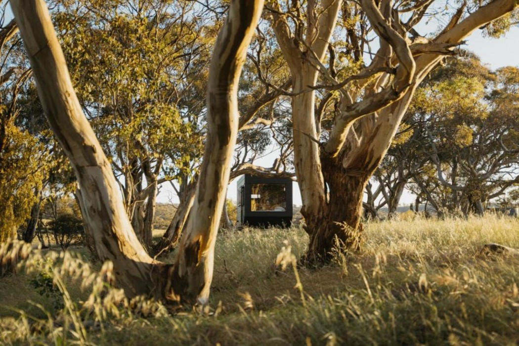 CABN Clare Valley in Mintaro