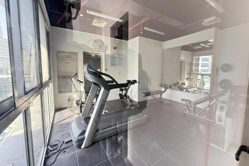 Luxury Oasis Apartments in Barsha Heights 12/12