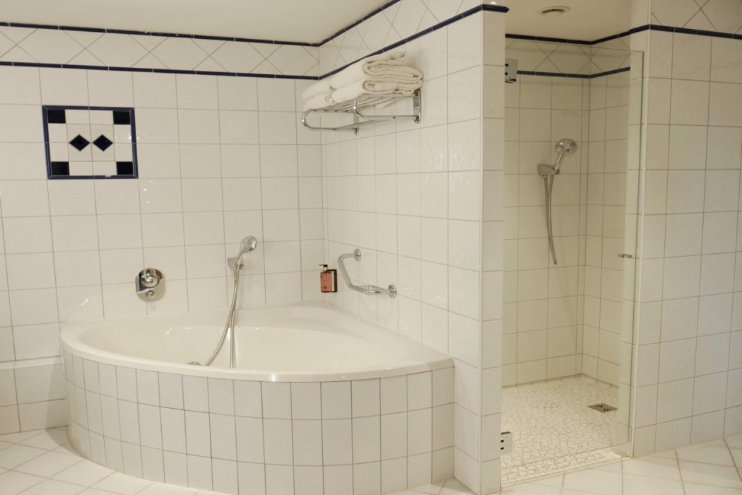 Vichy Celestins Spa Hotel 34/119