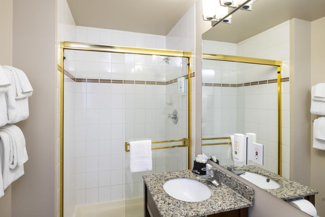 Quality Inn & Suites Downtown Vancouver 47/67