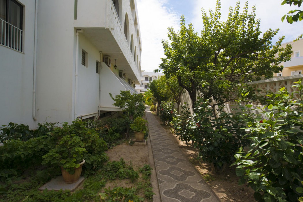 国际酒店Kos(International Hotel Kos) 图片3