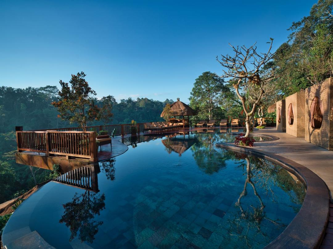 Nandini Jungle by Hanging Gardens 7/35