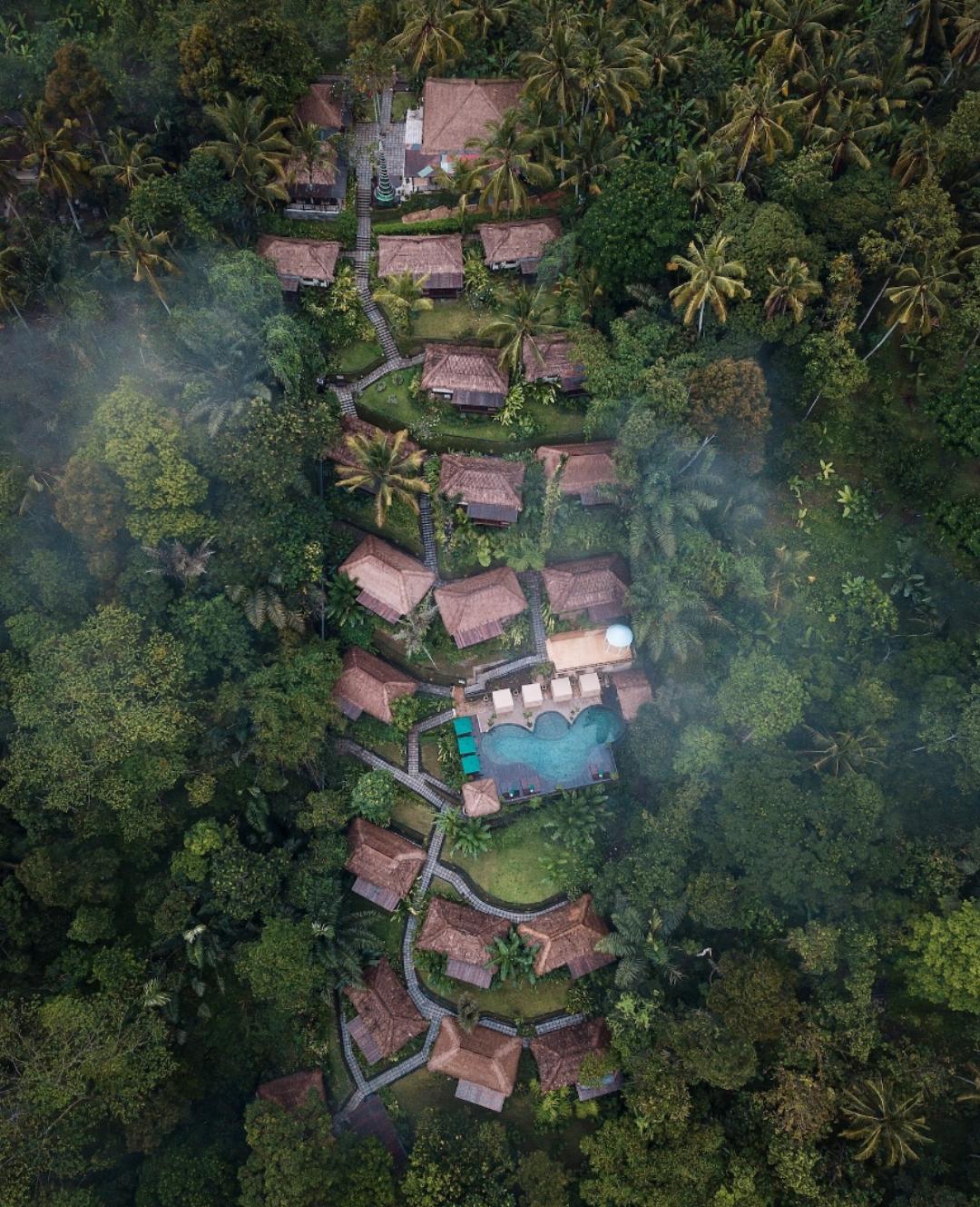 Nandini Jungle by Hanging Gardens 2/35
