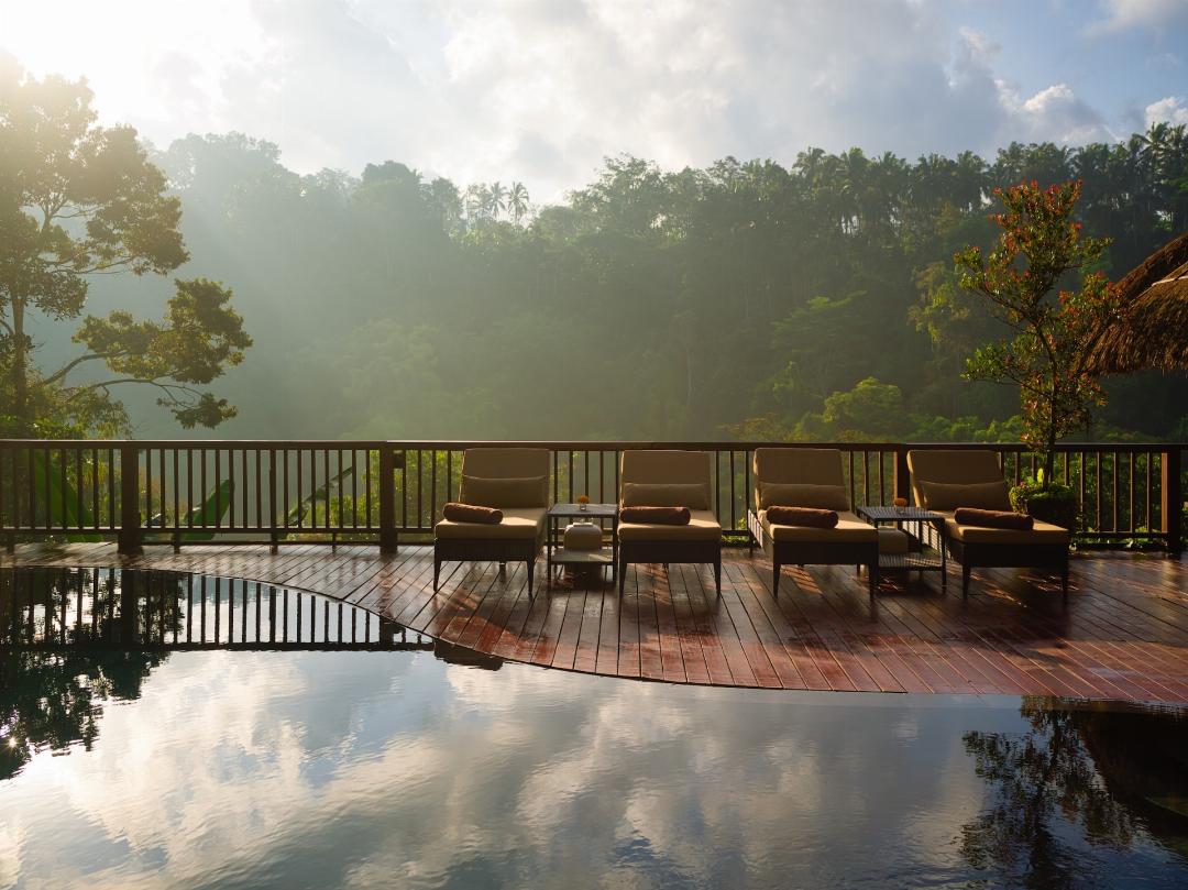 Nandini Jungle by Hanging Gardens 9/35