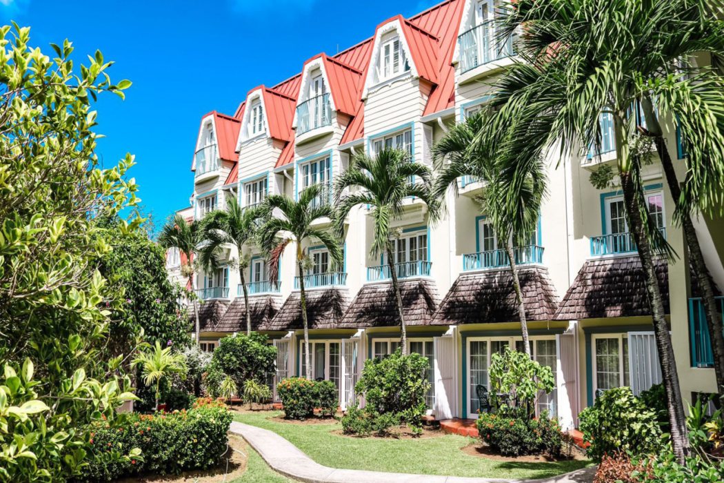 Coco Palm 8/72