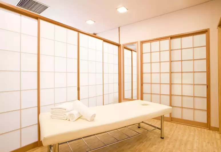 Ryokan Imaiso 11/29