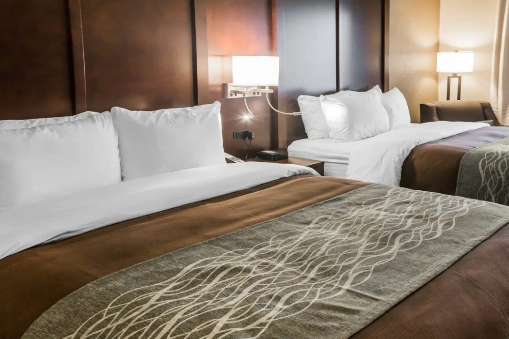 Comfort Inn & Suites Pharr - McAllen 18/30