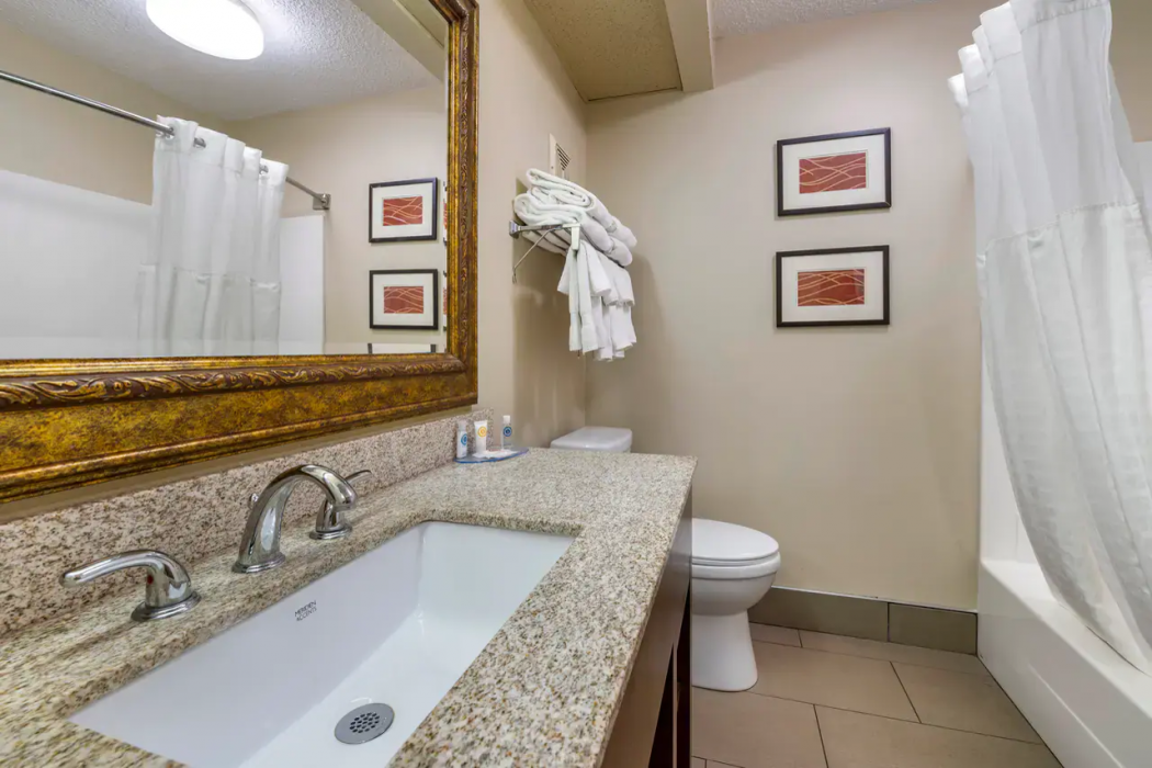Comfort Inn & Suites Lexington - Hamburg I-75 14/32