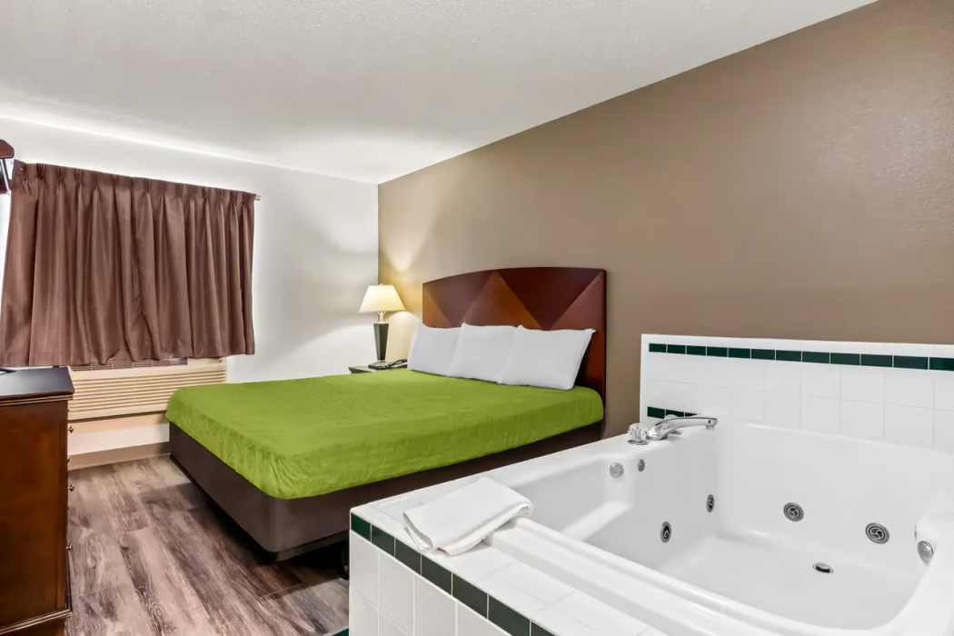 Econo Lodge Inn & Suites Auburn, MI 13/19