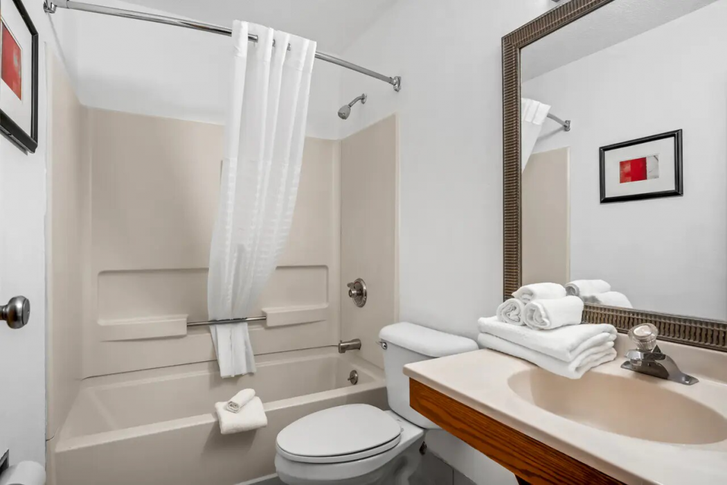 Econo Lodge Inn & Suites Auburn, MI 14/19