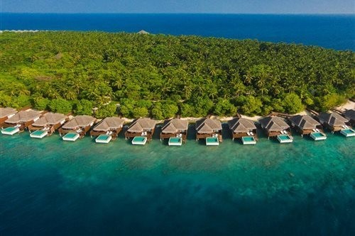 Dusit Thani Maldives酒店(Dusit Thani Maldives) 图片1