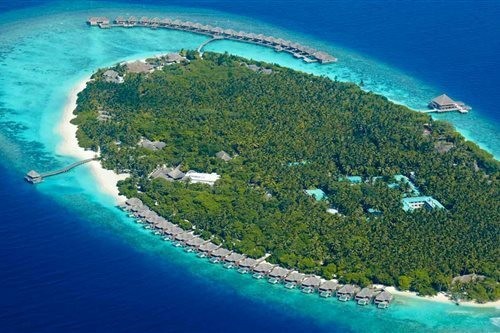 Dusit Thani Maldives酒店(Dusit Thani Maldives) 图片4