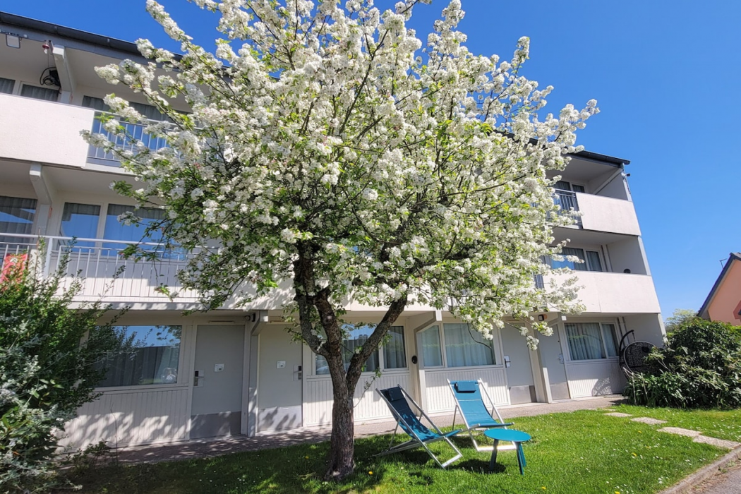 Brit Hotel Quimper Sud 2/60