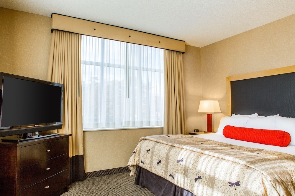 Cambria Hotel Akron - Canton Airport 11/41