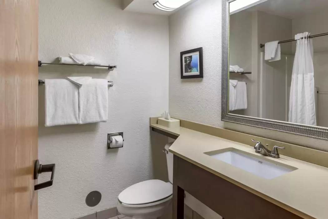 Comfort Inn Okemos - East Lansing 20/38