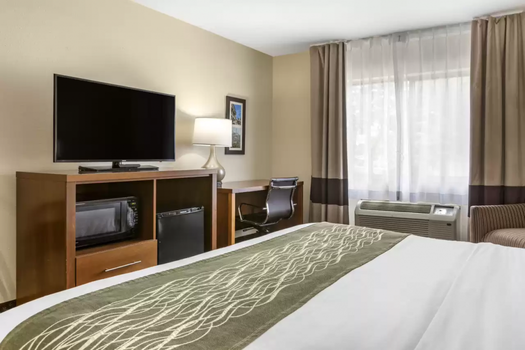 Comfort Inn Okemos - East Lansing 15/38