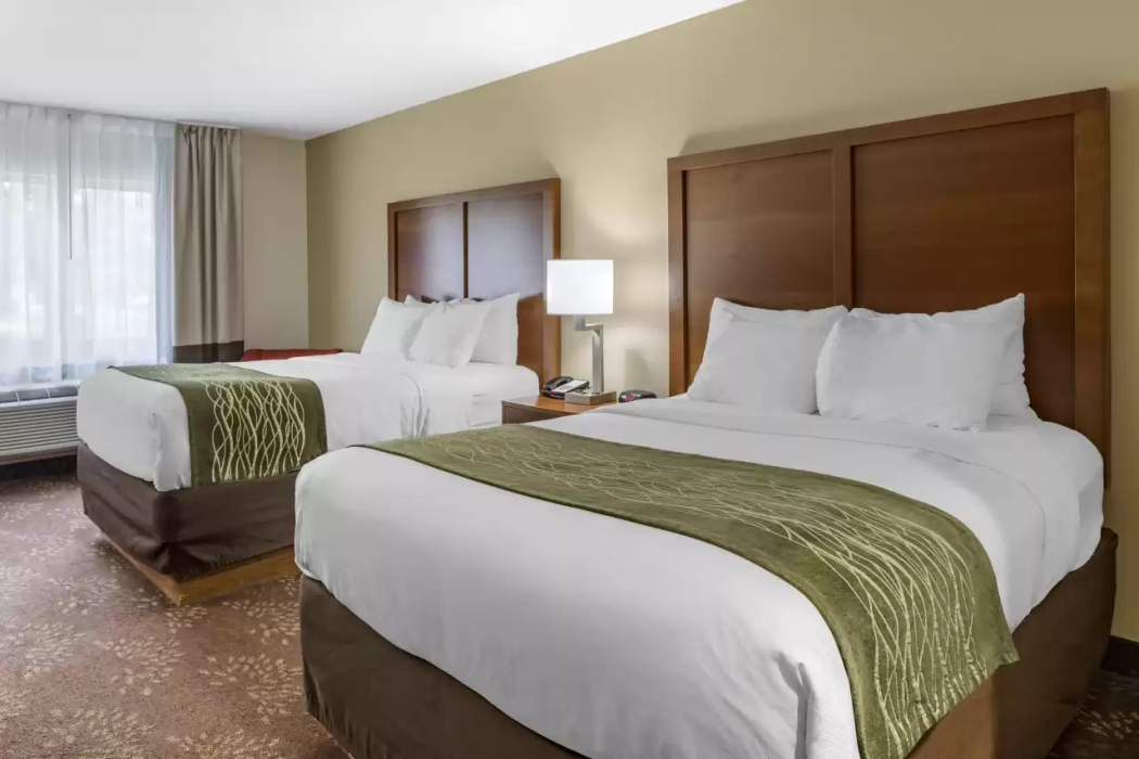 Comfort Inn Okemos - East Lansing 16/38