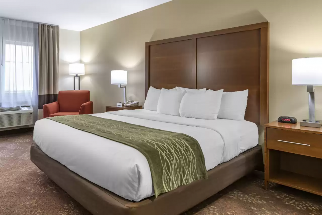 Comfort Inn Okemos - East Lansing 17/38