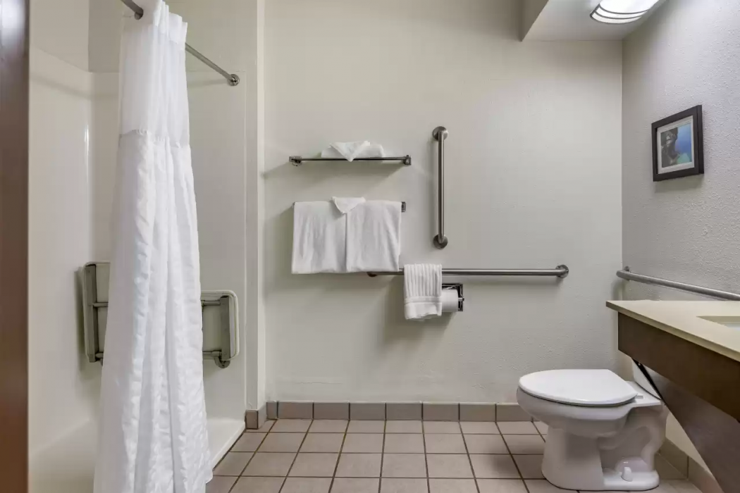 Comfort Inn Okemos - East Lansing 19/38