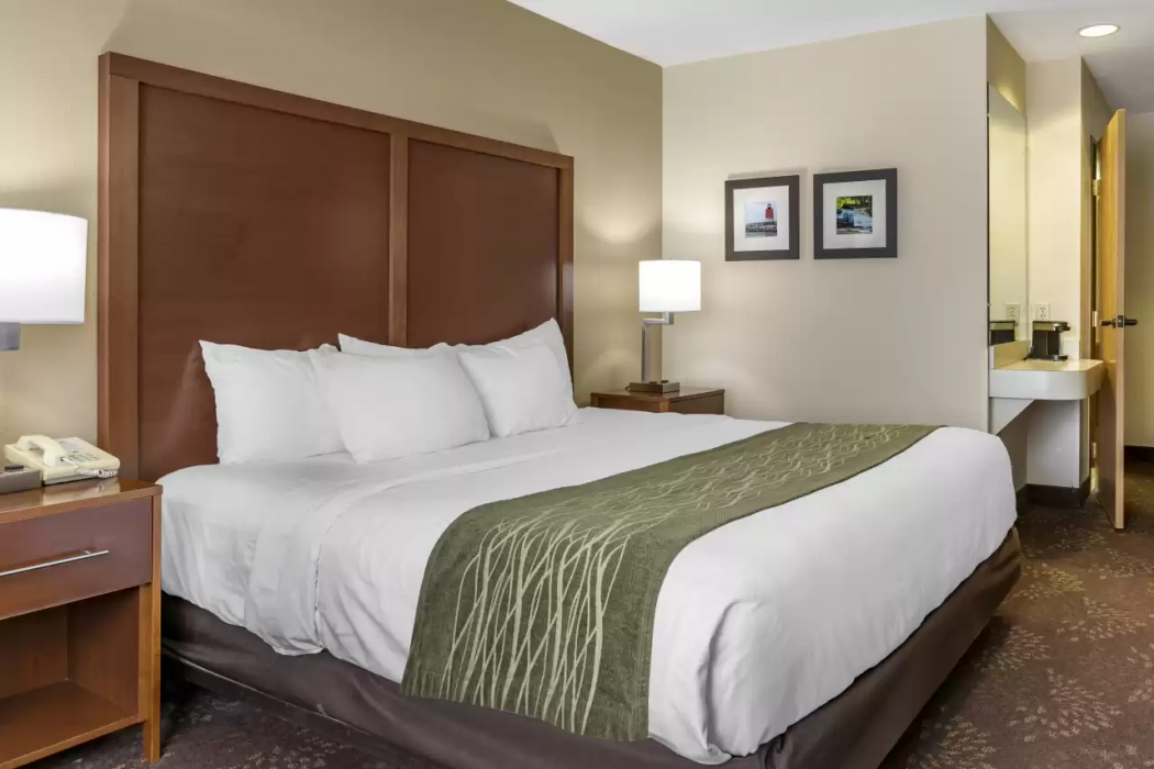 Comfort Inn Okemos - East Lansing 14/38