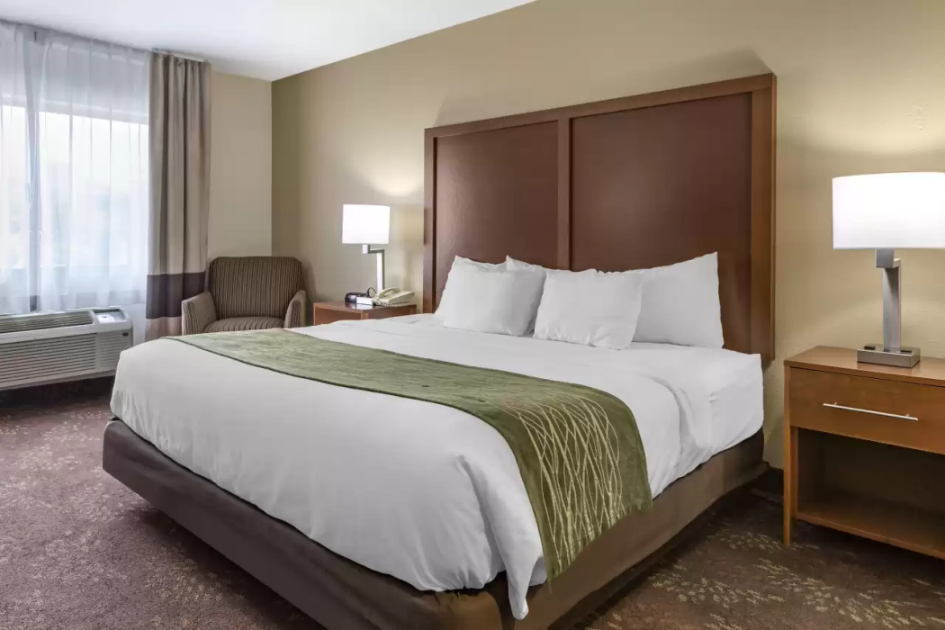 Comfort Inn Okemos - East Lansing 13/38